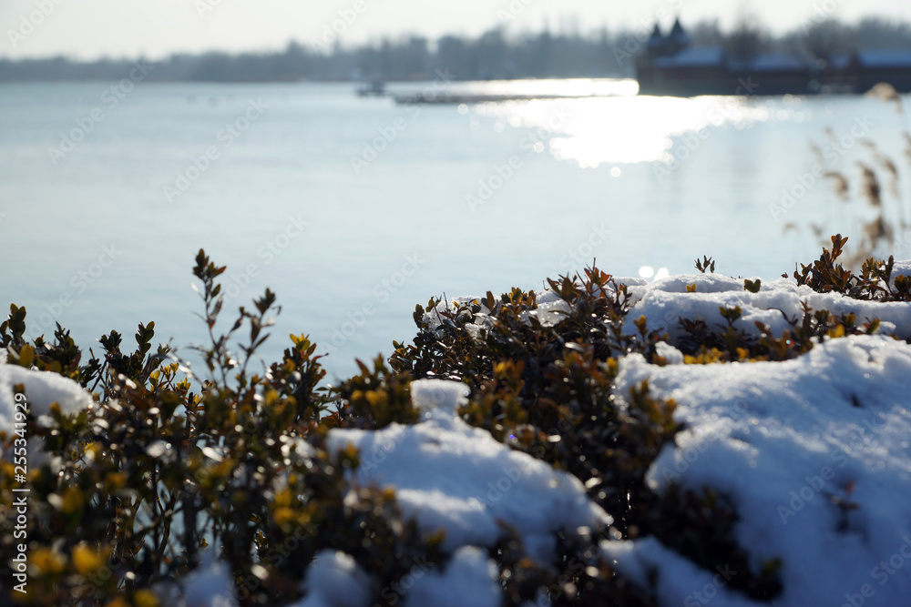 Fototapeta premium Balaton