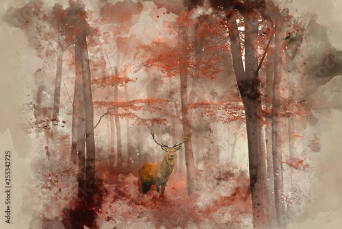 Piękny obraz jelenia jelenia w mglistym jesiennym kolorowym krajobrazie leśnym