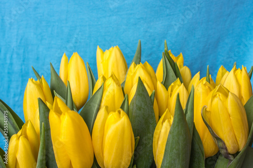 Yellow flowers -tulips