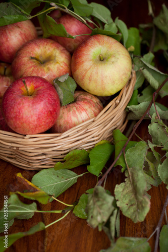 Red organic  apples with leaves