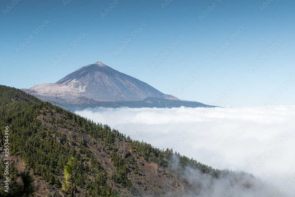Nature surrounding Teide Volcano in national park, Tenerife