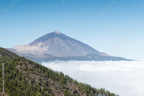Nature surrounding Teide Volcano in national park  Tenerife