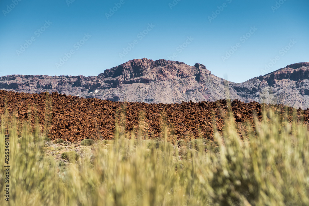 Landscape of Teide national park on Tenerife, Spain