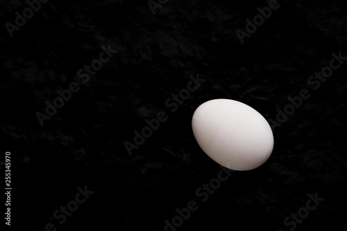 one white chicken egg on black background