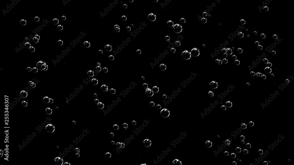 Bubbles of champagne are slowly floating up on a black background. Bubbles of champagne are slowly floating up on a black background.