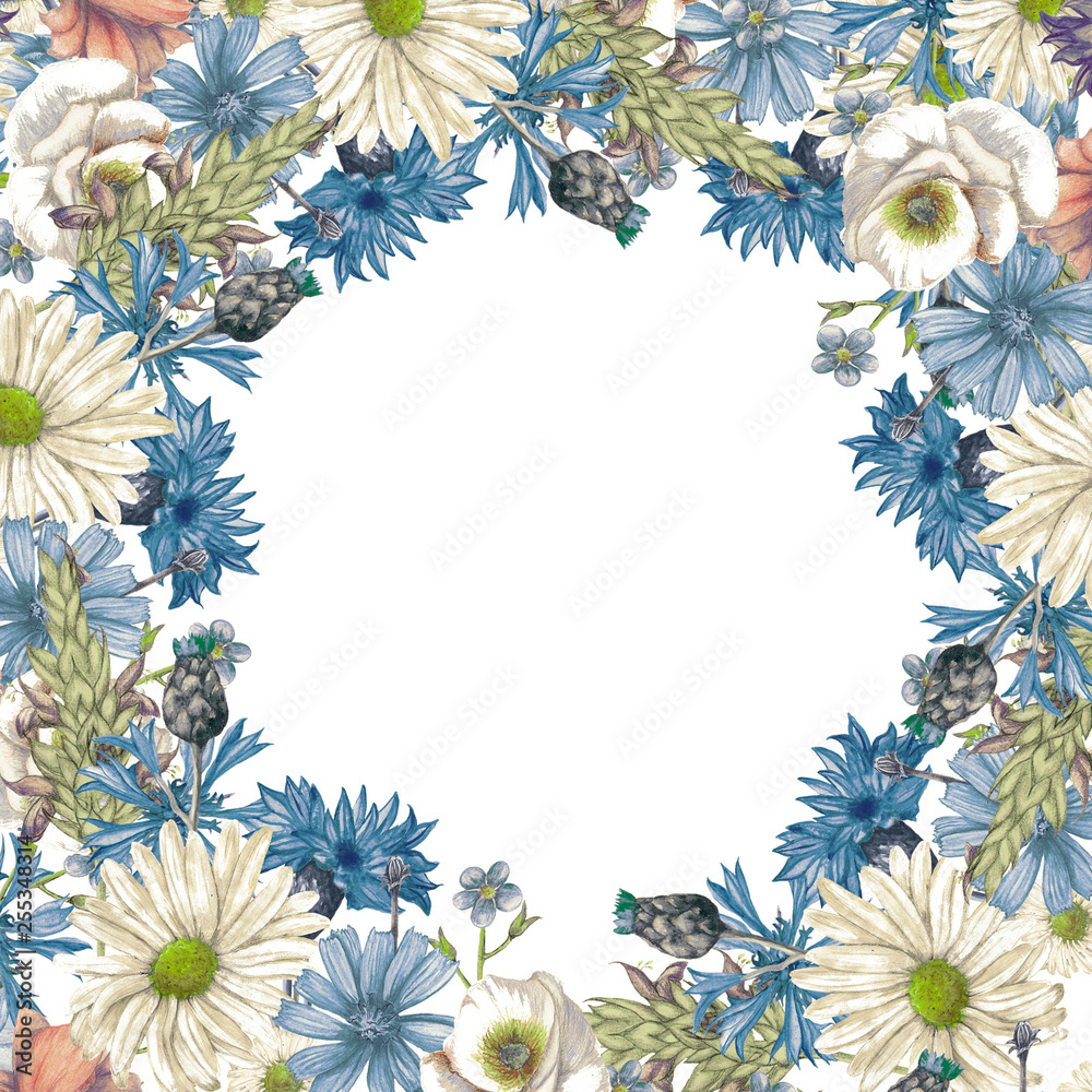 Floral banner of hand drawn wildflowers Floral banner of hand drawn wildflowers