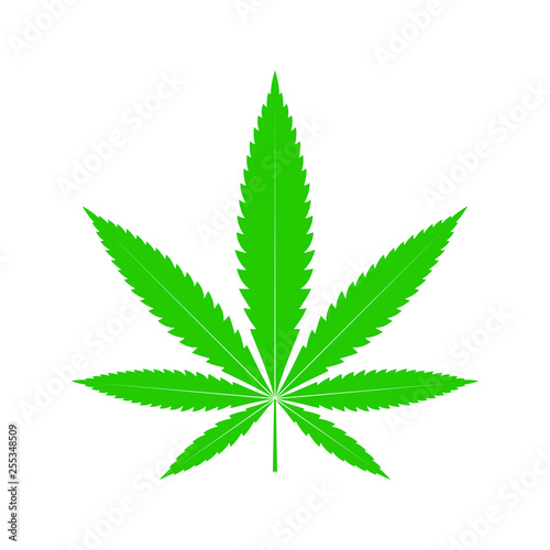 Cannabis leaf graphic icon. Marijuana green sign isolated on white background. Vector illustration