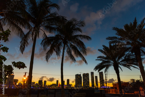 Miami beach at sunset with palm trees on the foreground