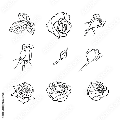 Set parts of roses