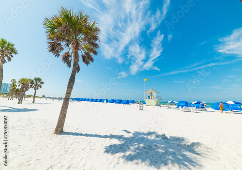 White sand and palm trees in Clearwater