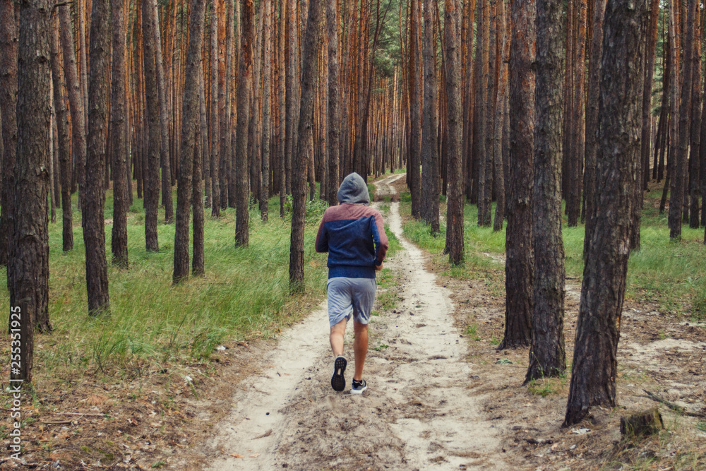 Man in a hoodie running in a pine forest. Concept of training in outdoor