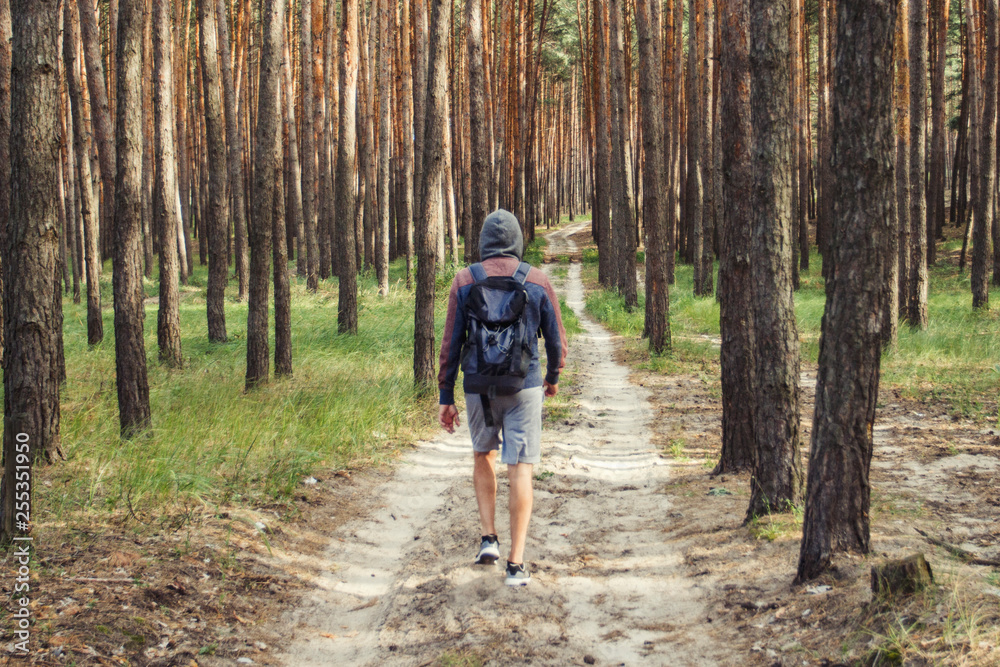 Traveler man walks with a backpack on a dirt road in a pine forest. Concept of hiking in the forest and mountains Traveler man walks with a backpack on a dirt road in a pine forest. Concept of hiking in the forest and mountains