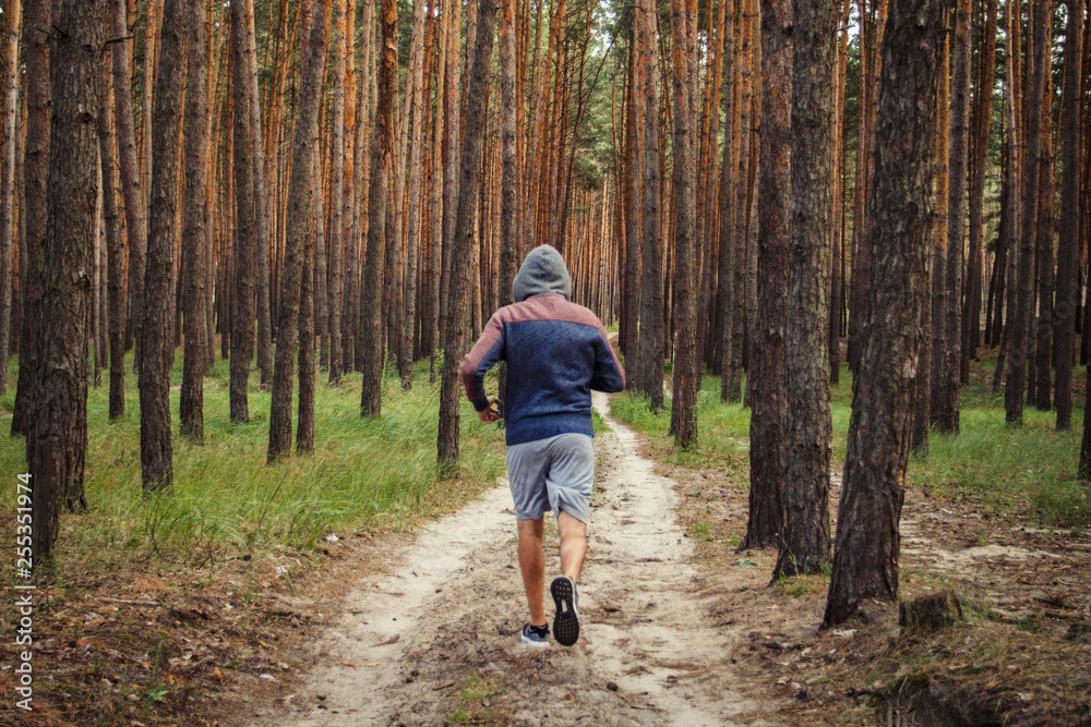 Man in a hoodie running in a pine forest. Concept of training in outdoor Man in a hoodie running in a pine forest. Concept of training in outdoor