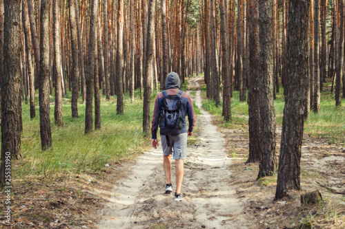 Traveler man walks with a backpack on a dirt road in a pine forest. Concept of hiking in the forest and mountains