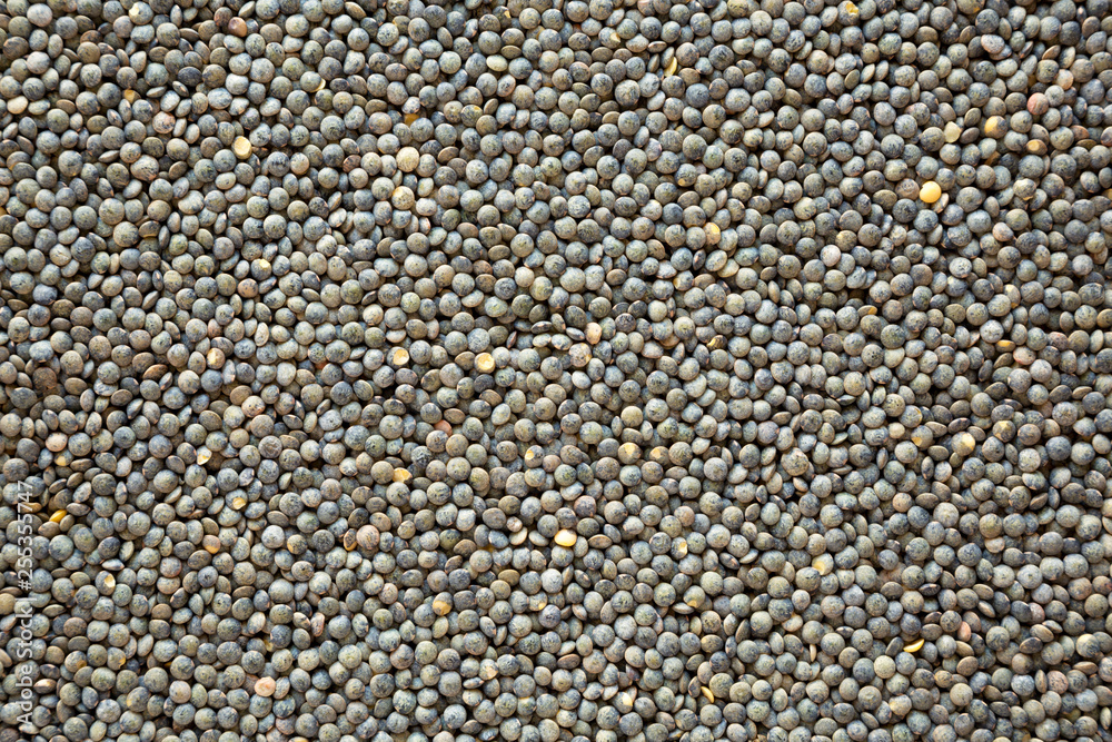 Dry green french lentils, overhead view. Closeup. Dry green french lentils, overhead view. Closeup.