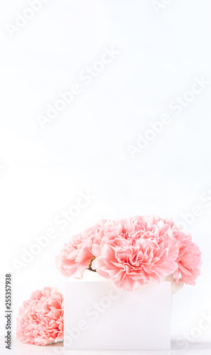 Wallpaper Mural Beautiful blooming baby pink tender carnations in a white vase isolated on bright background, may mothers day greeting mum ideas concept photography, close up, copy space, mock up Torontodigital.ca