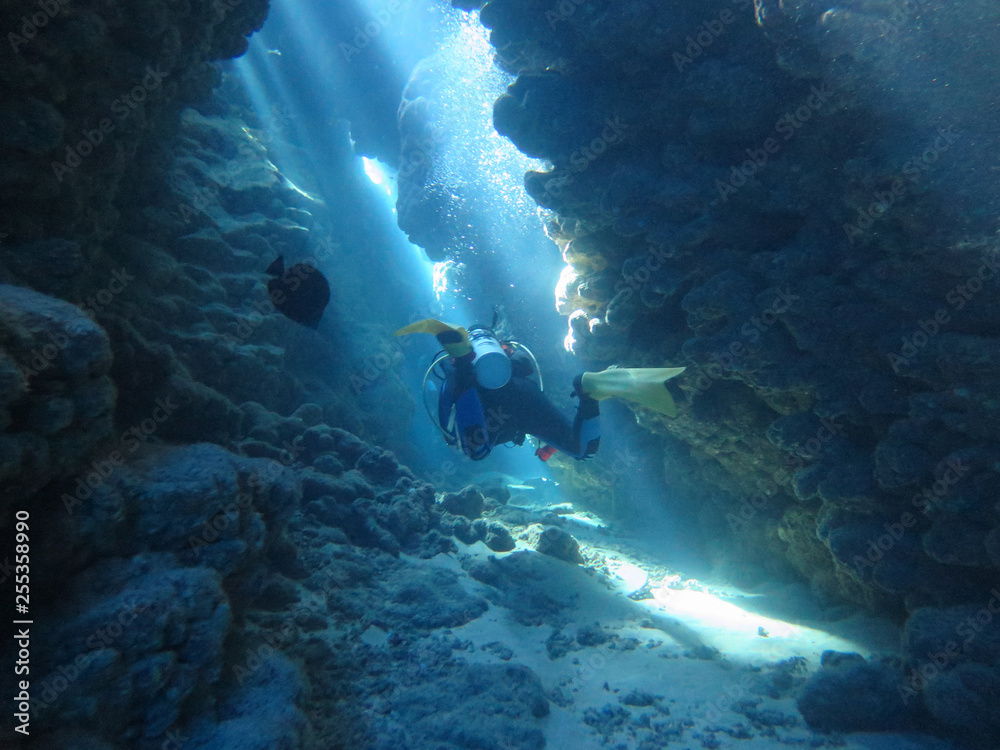 2014, Egypt, diving, depth, entertainment, extreme, underwater, wreck,Thistlehorm 2014, Egypt, diving, depth, entertainment, extreme, underwater, wreck,Thistlehorm