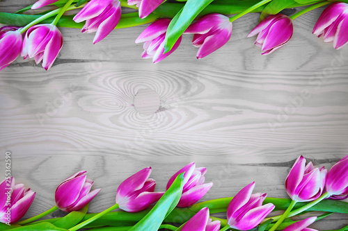 Row of pink tulips on rustic wooden background with copy space for message.