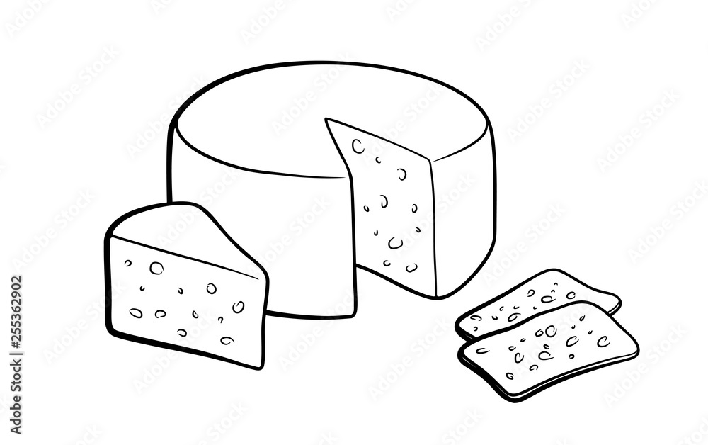 Stylized black and white vector illustration of cheese. Cheese wheel