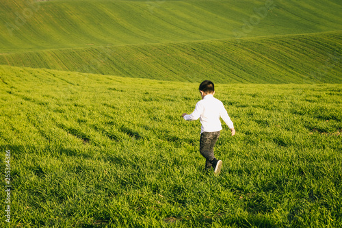 Back view on a cute little toddler boy. Child walking to the horizon in green meadow