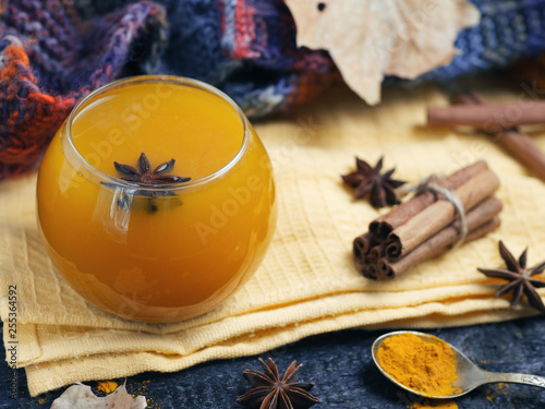 tea with turmeric on a dark wooden background © pavelkant