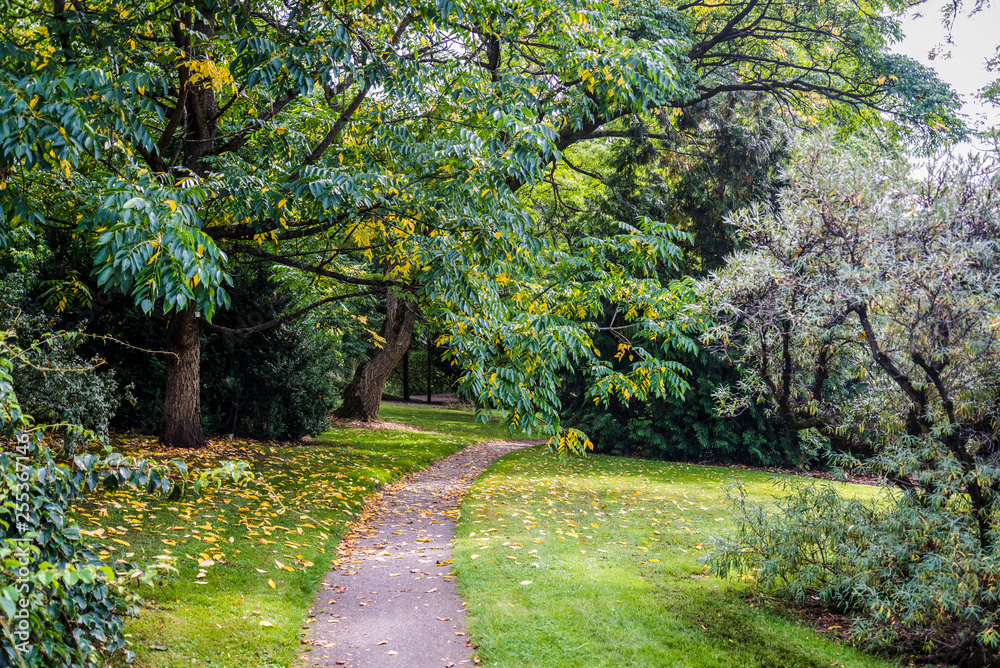 Peaceful and green Botanical Garden, Oslo, Norway Peaceful and green Botanical Garden, Oslo, Norway