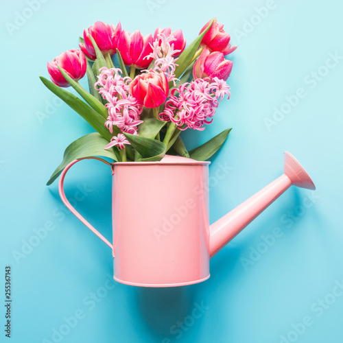 Decorative watering can with pink tulips on blue. Gardening concept. Spring.