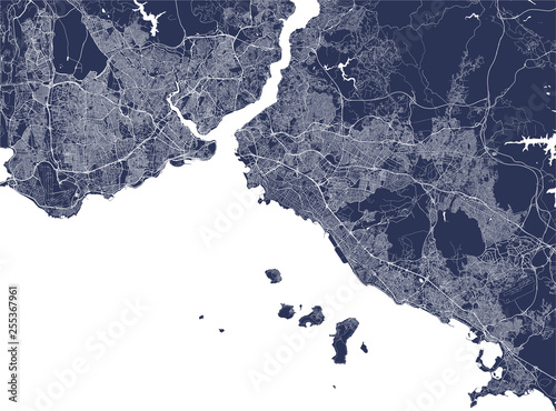 vector map of the city of Istanbul, Turkey