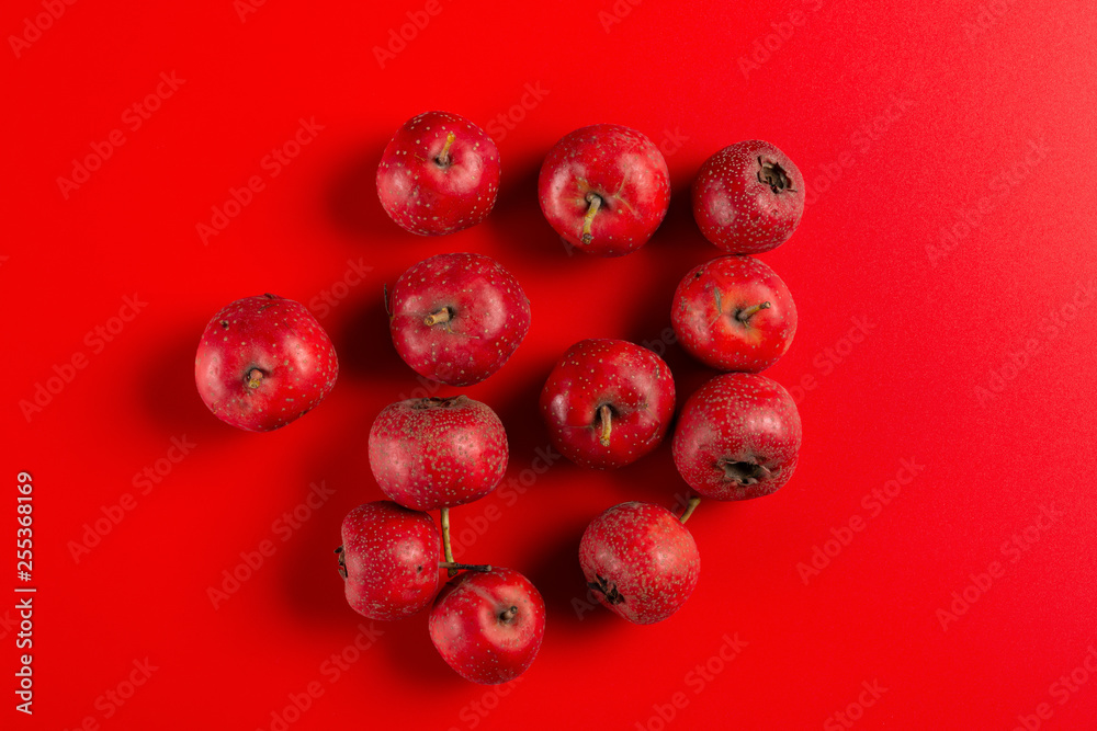 top view ripe hawthorns on a red backgrond