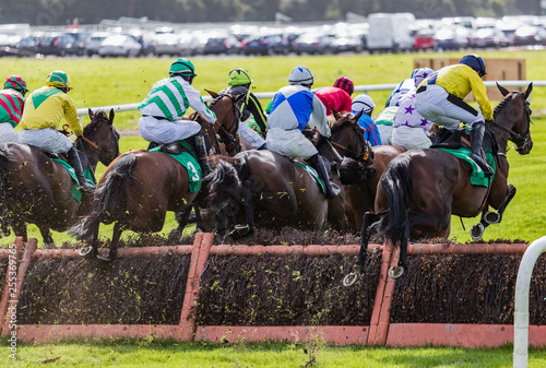 View of race horses and jockeys jumping a race track hurdle from behind photo