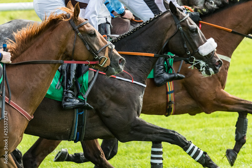 Close up on galloping race horses competing in a race