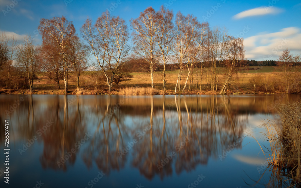 reflections of trees in a lake and blue sky in the background and few clouds