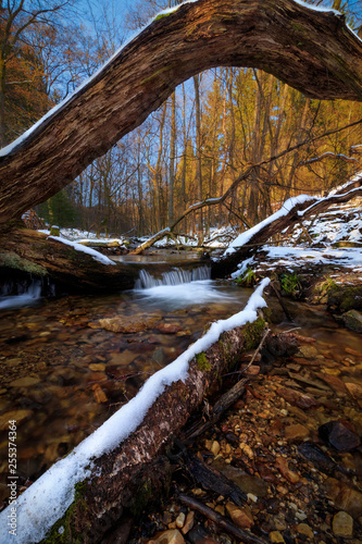 tree trunk that is covered in snow lying in a river © Sascha