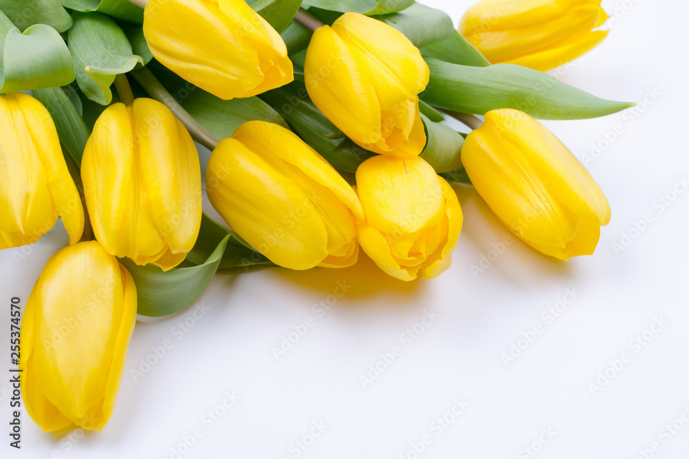 Bouquet of beautiful yellow tulip flowers on white background. Greeting card. Copy space. Bouquet of beautiful yellow tulip flowers on white background. Greeting card. Copy space.