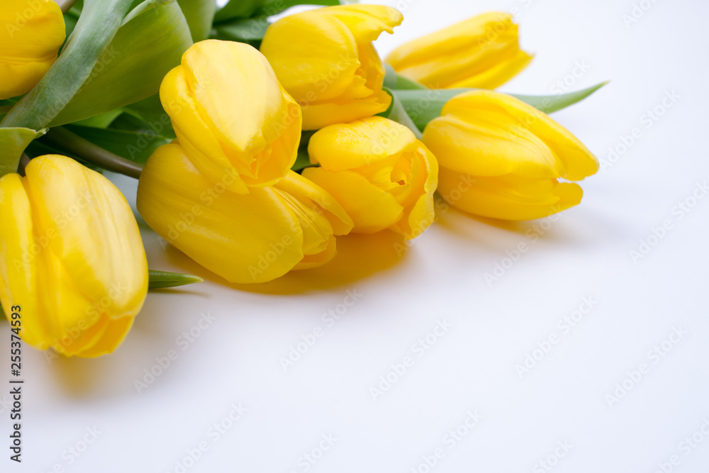 Bouquet of beautiful yellow tulip flowers on white background. Greeting card. Copy space. Bouquet of beautiful yellow tulip flowers on white background. Greeting card. Copy space.