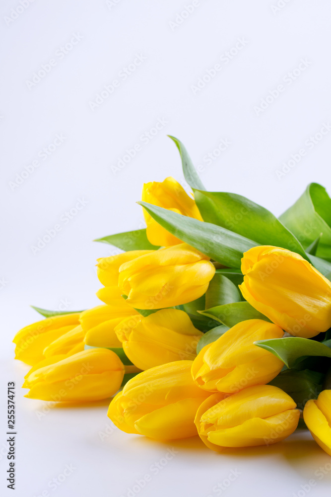 Bouquet of beautiful yellow tulip flowers on white background. Greeting card. Copy space. Bouquet of beautiful yellow tulip flowers on white background. Greeting card. Copy space.