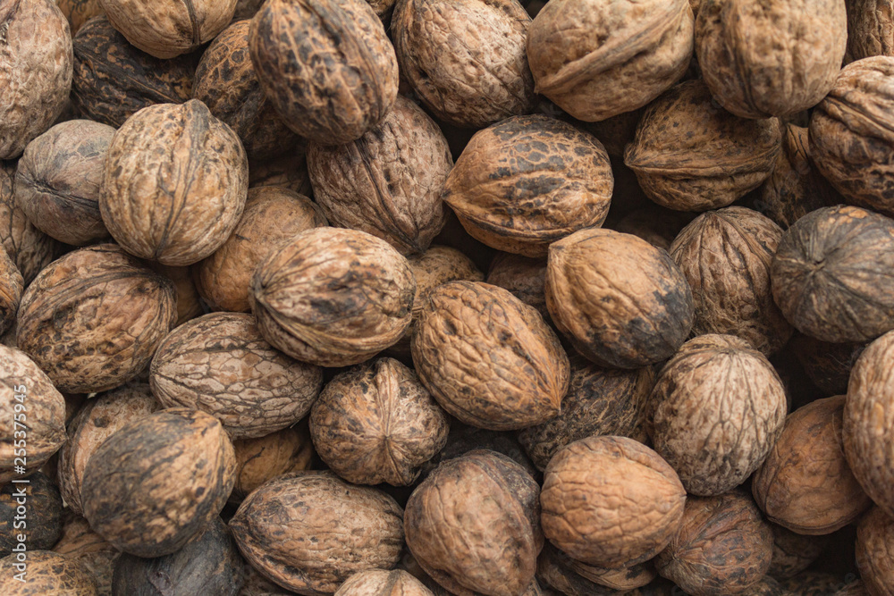 Walnut, a useful product for the brain and the body, is rich in iodine content for the brain. Walnut, a useful product for the brain and the body, is rich in iodine content for the brain.