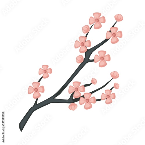 Sakura branch spring cherry blossom isolated Japanese symbol