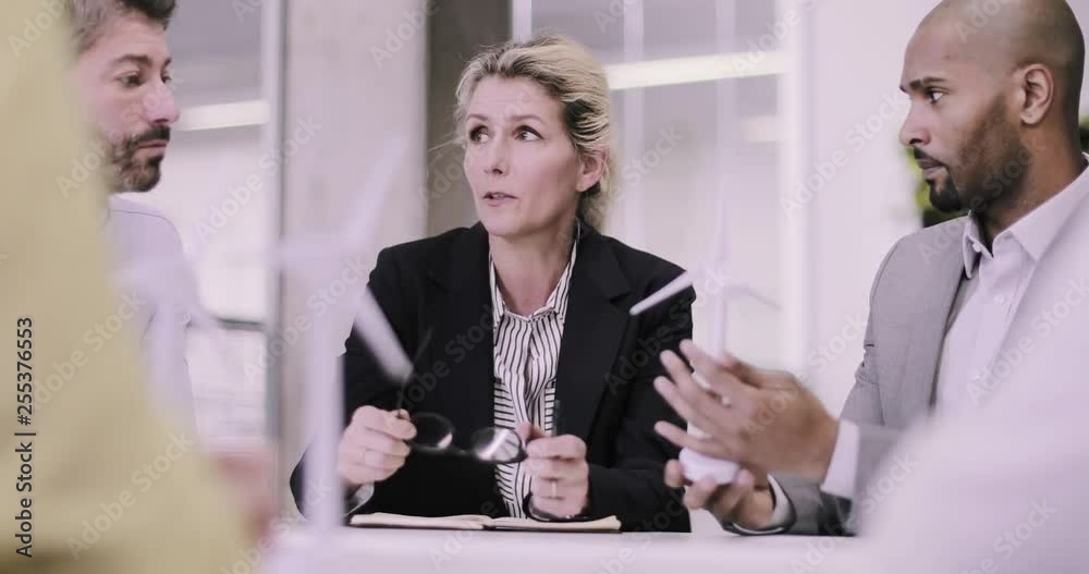 Business executives discussing wind energy