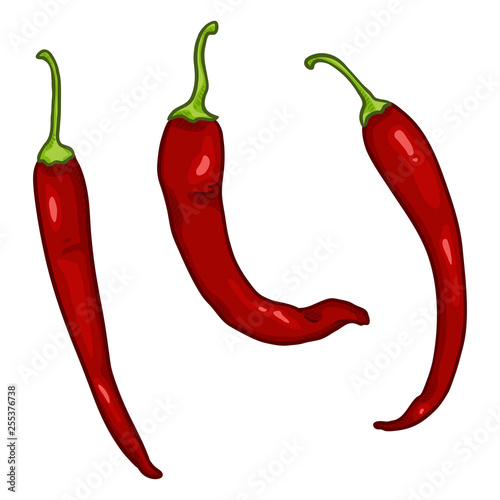 Vector Set of Cartoon Red Chilli Peppers