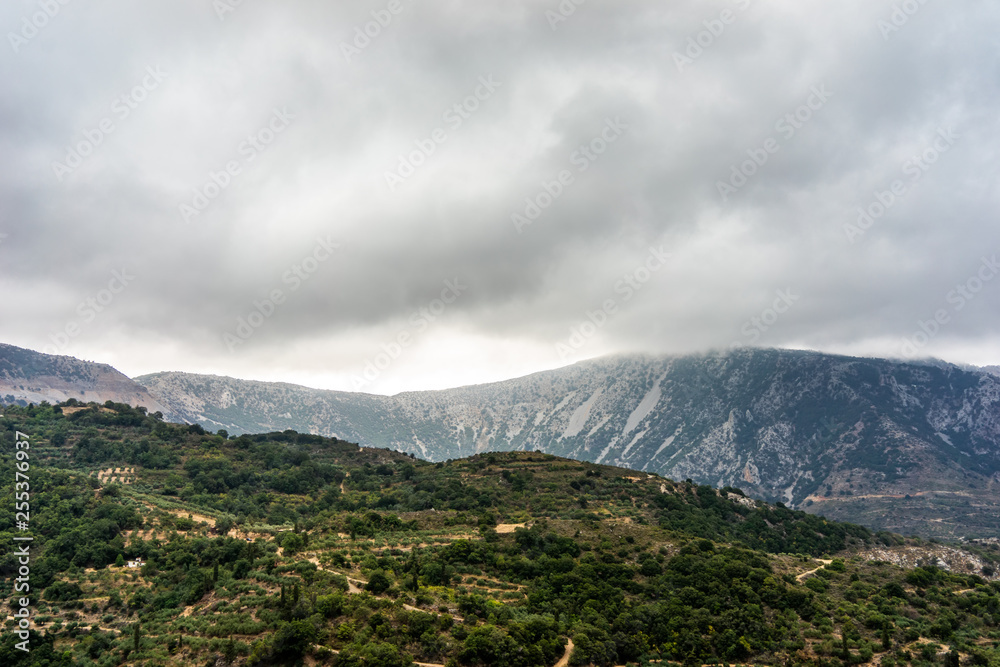 olive plantation on mountain the Crete,Greece