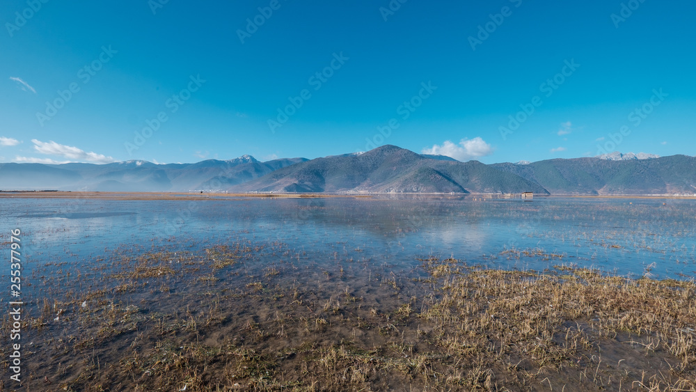 Yila Grassland with Napa Lake