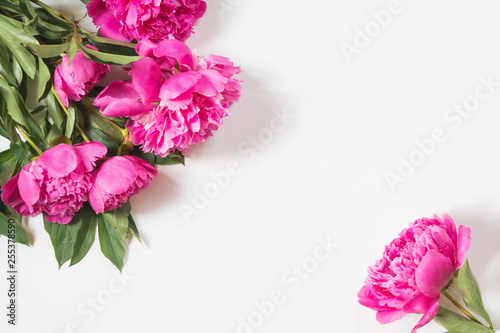 Mothers day. Pink peony flowers on white.
