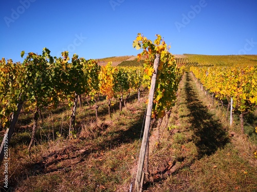 Weinberg