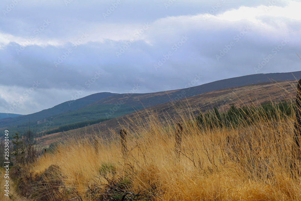 Landscapes hilly areas of Ireland. Flora of Ireland. Nature Reserve.