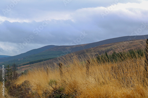 Landscapes hilly areas of Ireland. Flora of Ireland. Nature Reserve.