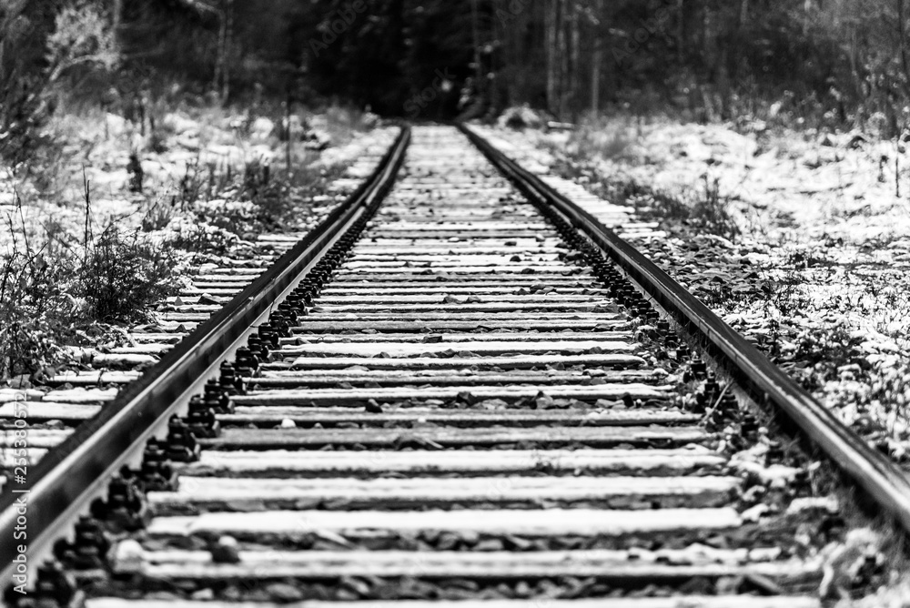 Railway tracks in black and white. Perspective view