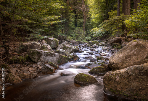 Ilsefälle im Harz
