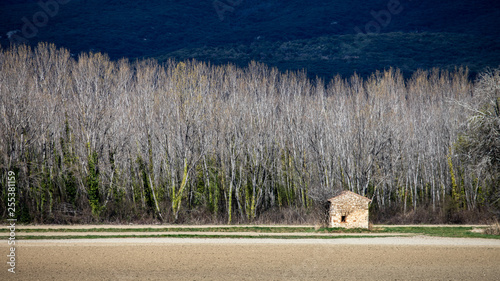 landscapes of Provence, near the village of Donzère, France