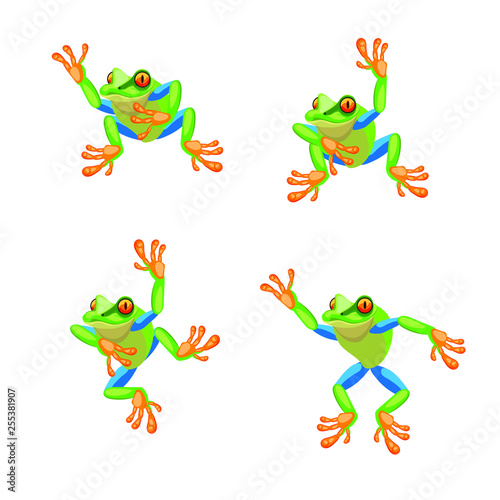 Tree frog Cartoon set. Vector illustration.